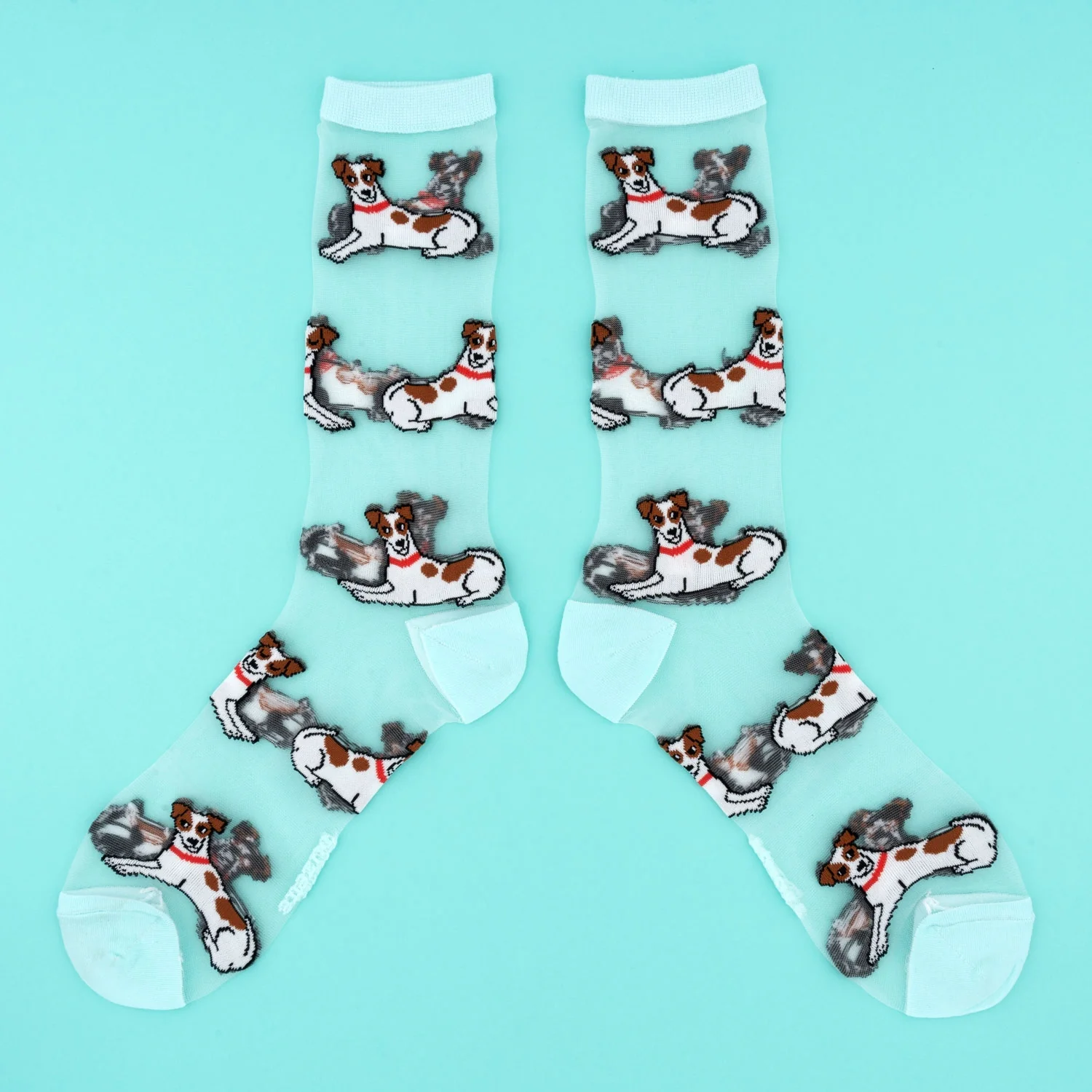 Soldes : toutes les chaussettes